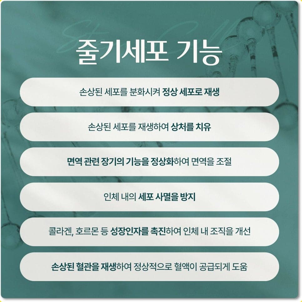 줄기세포 기능 - 손상된 세포 재생, 상처 치유, 면역 조절, 세포 사멸 방지, 성장인자 촉진, 혈관 재생