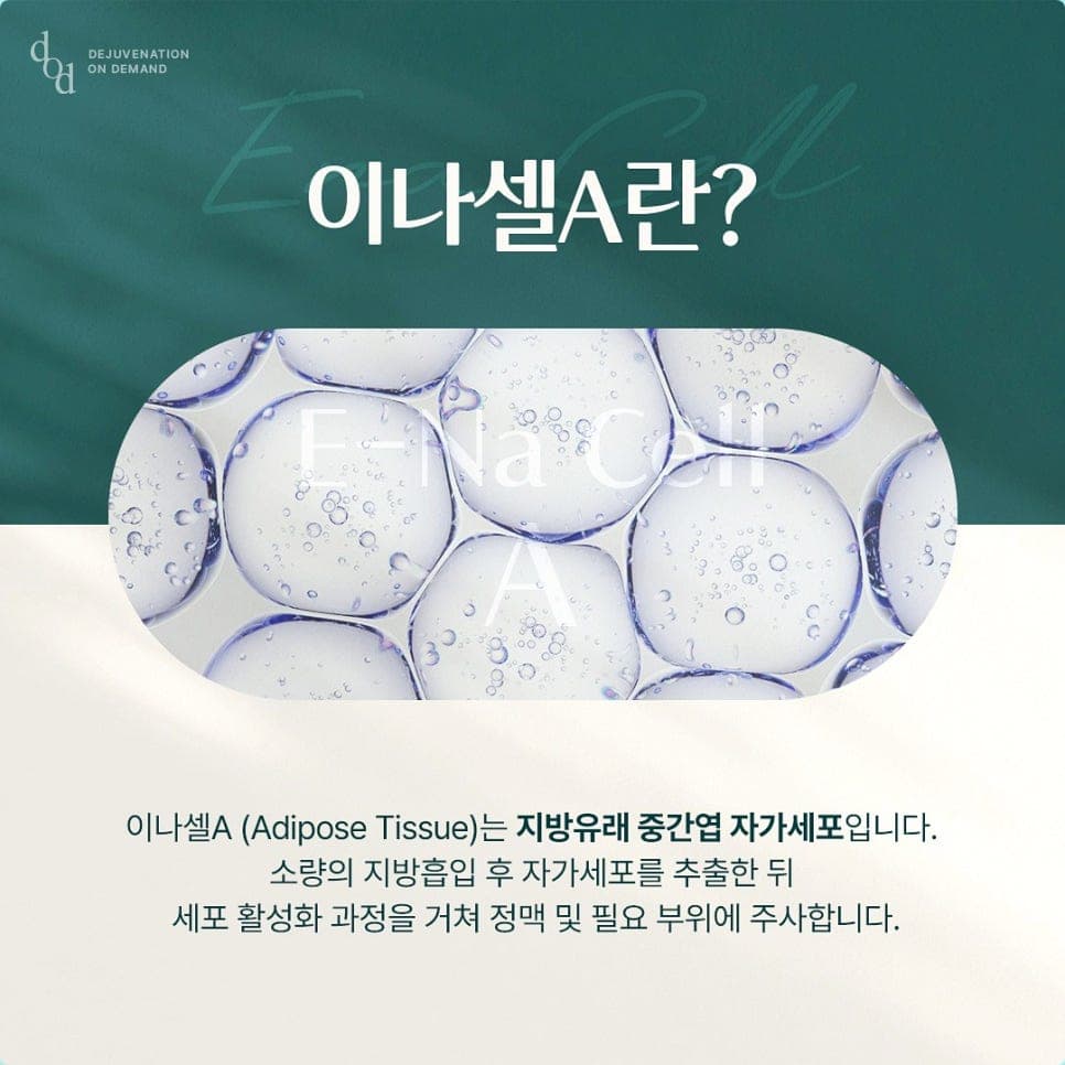 디오디피부과의원 청담 이나셀A(E-Na Cell A) 지방유래 줄기세포 안내
